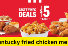 kentucky fried chicken menü